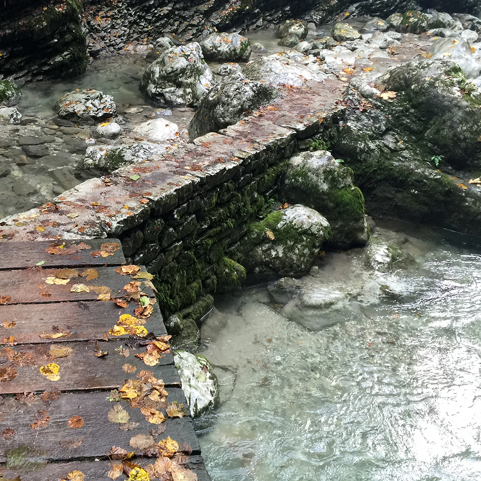 The River